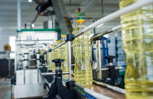 Bottling line of sunflower oil in bottles. Vegetable oil production plant. High technology. Industrial background