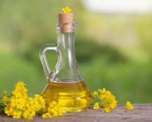 rapeseed oil (canola) and rape flowers on wooden table